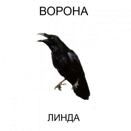 альбом Ворона